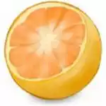柑橘视频直播免费版
