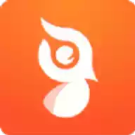 啄木鸟运动app