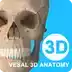 维萨里3d解剖全集终身免费版