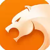 猎豹浏览器免费正式版