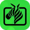 斑马视频助手app