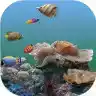 3d海底世界动态壁纸鱼